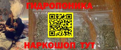 крисы Ставрополь