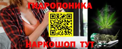 крисы Ставрополь