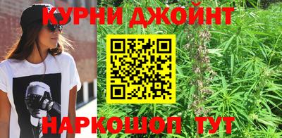 крисы Ставрополь
