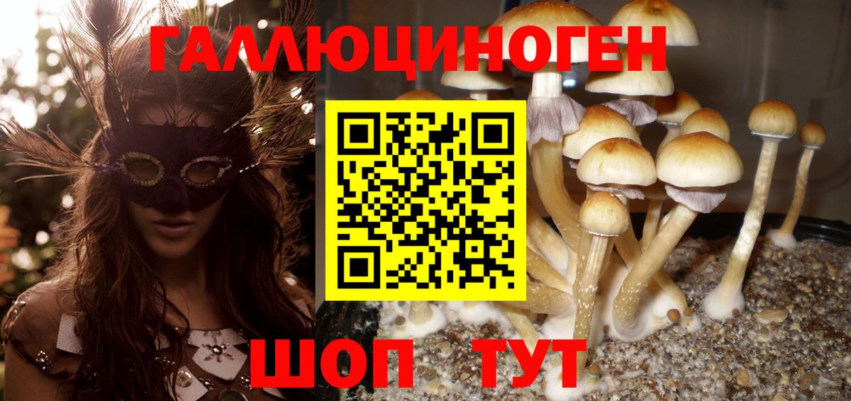 Галлюциногенные грибы ЛСД Набережные Челны