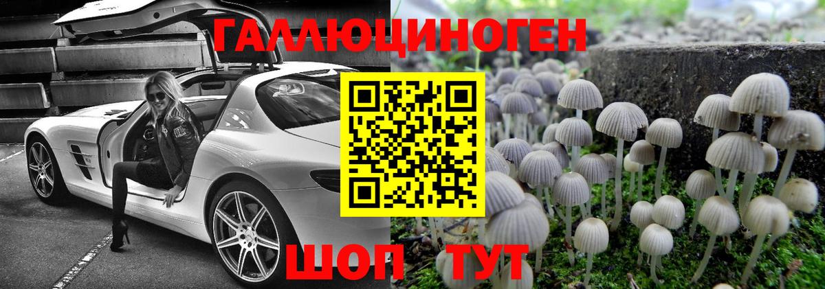 Галлюциногенные грибы мухоморы  Галлюциногенные грибы прущие грибы  купить наркотик  Набережные Челны  Вход с VPN 